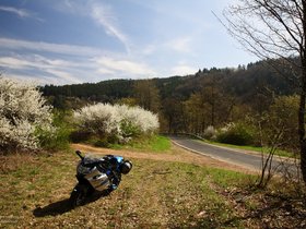 05 A Quick Dab In The Eifel